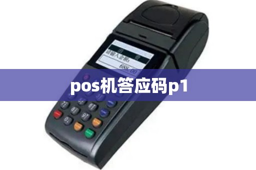 pos机答应码p1