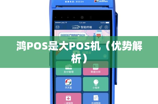 鸿POS是大POS机（优势解析）