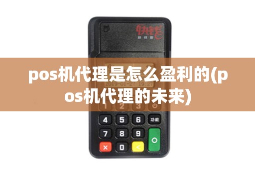 pos机代理是怎么盈利的(pos机代理的未来)