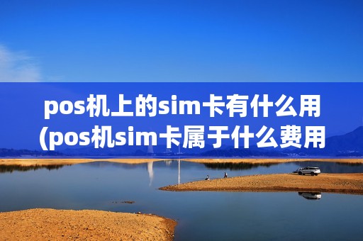 pos机上的sim卡有什么用(pos机sim卡属于什么费用)