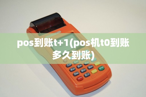 pos到账t+1(pos机t0到账多久到账)