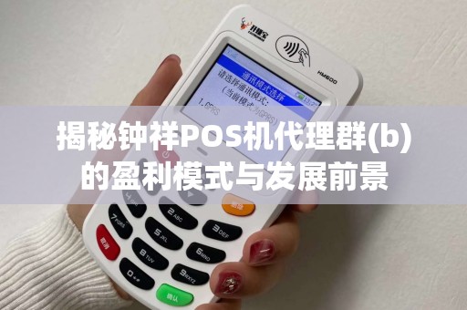 揭秘钟祥POS机代理群(b)的盈利模式与发展前景