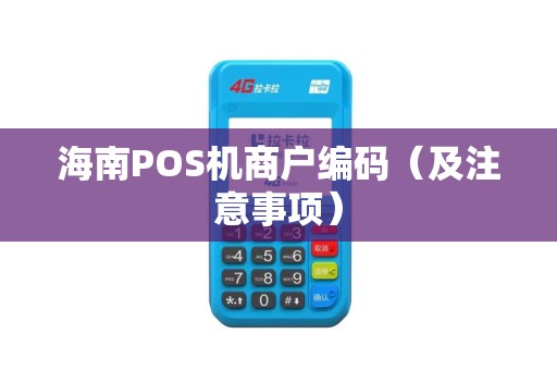 海南POS机商户编码（及注意事项）