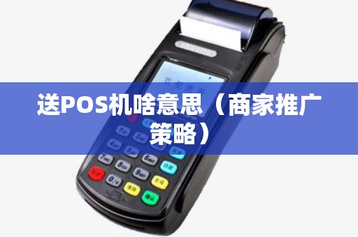 送POS机啥意思（商家推广策略）