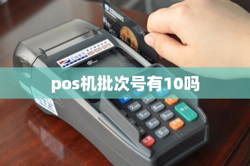 pos机批次号有10吗