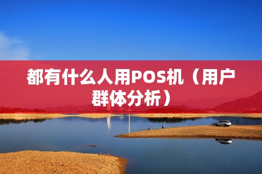 都有什么人用POS机（用户群体分析）