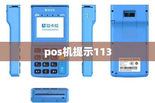pos机提示113