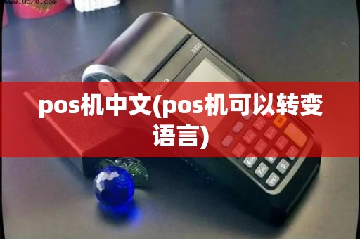pos机中文(pos机可以转变语言)