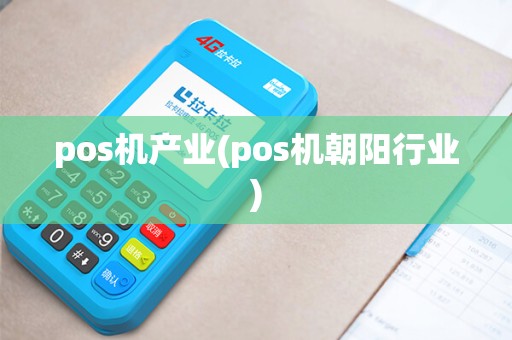 pos机产业(pos机朝阳行业)