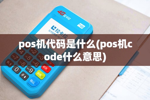 pos机代码是什么(pos机code什么意思)