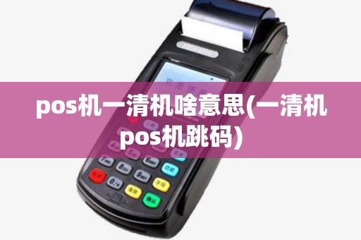 pos机一清机啥意思(一清机pos机跳码)