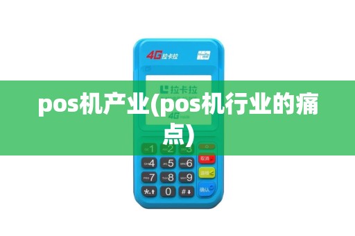 pos机产业(pos机行业的痛点)