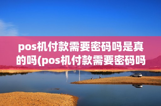 pos机付款需要密码吗是真的吗(pos机付款需要密码吗)