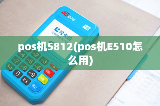 pos机5812(pos机E510怎么用)