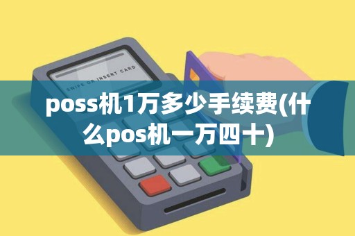 poss机1万多少手续费(什么pos机一万四十)
