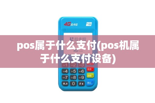 pos属于什么支付(pos机属于什么支付设备)