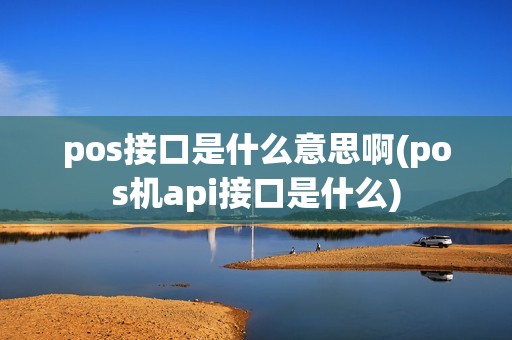 pos接口是什么意思啊(pos机api接口是什么)