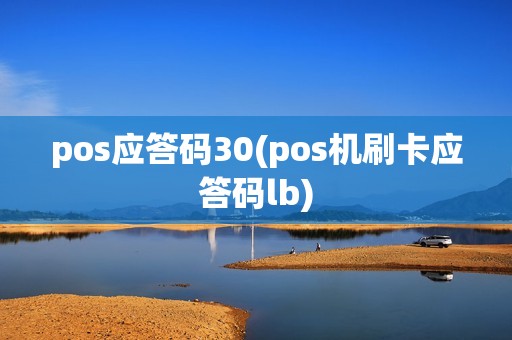 pos应答码30(pos机刷卡应答码lb)