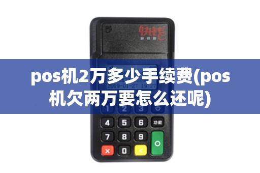 pos机2万多少手续费(pos机欠两万要怎么还呢)