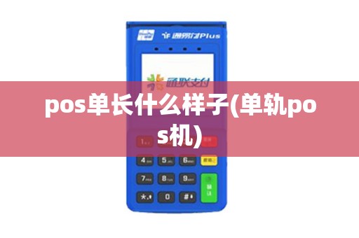 pos单长什么样子(单轨pos机)
