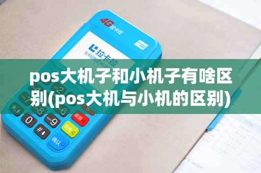 pos大机子和小机子有啥区别(pos大机与小机的区别)