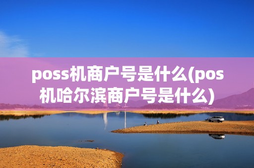 poss机商户号是什么(pos机哈尔滨商户号是什么)