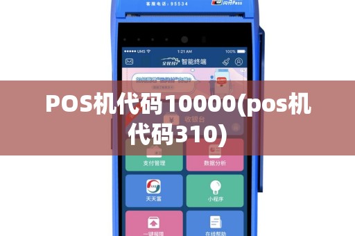 POS机代码10000(pos机代码310)