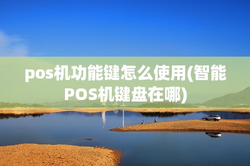 pos机功能键怎么使用(智能POS机键盘在哪)