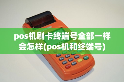 pos机刷卡终端号全部一样会怎样(pos机和终端号)