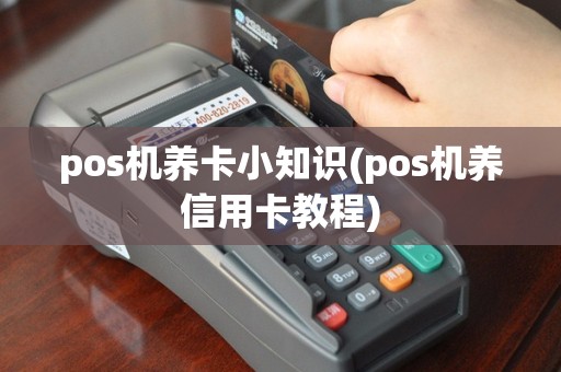 pos机养卡小知识(pos机养信用卡教程)