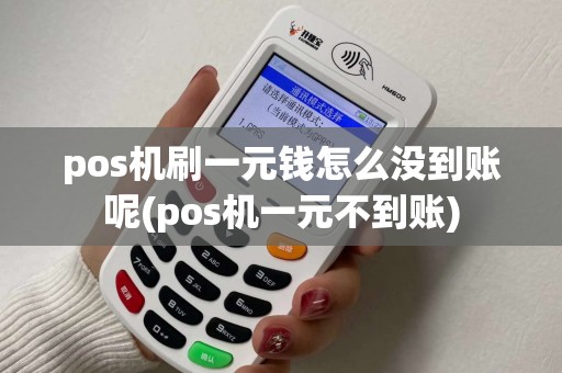 pos机刷一元钱怎么没到账呢(pos机一元不到账)