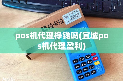 pos机代理挣钱吗(宜城pos机代理盈利)