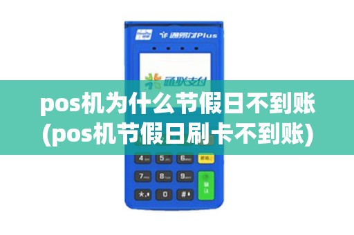 pos机为什么节假日不到账(pos机节假日刷卡不到账)