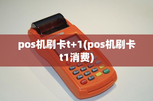 pos机刷卡t+1(pos机刷卡t1消费)