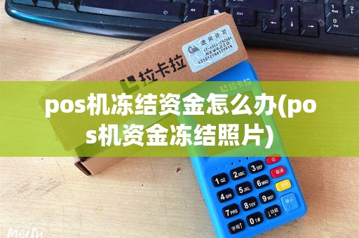 pos机冻结资金怎么办(pos机资金冻结照片)