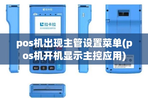pos机出现主管设置菜单(pos机开机显示主控应用)