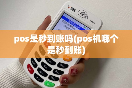 pos是秒到账吗(pos机哪个是秒到账)