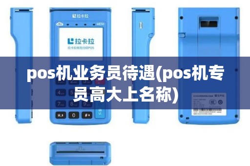 pos机业务员待遇(pos机专员高大上名称)