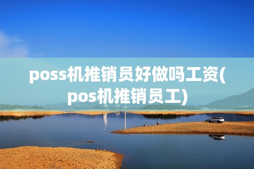 poss机推销员好做吗工资(pos机推销员工)