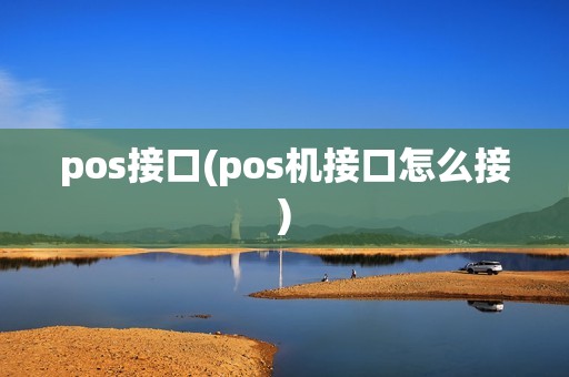 pos接口(pos机接口怎么接)