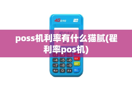 poss机利率有什么猫腻(翟利率pos机)