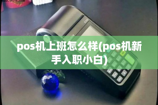 pos机上班怎么样(pos机新手入职小白)