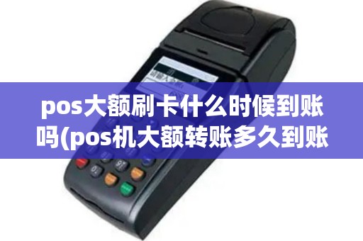 pos大额刷卡什么时候到账吗(pos机大额转账多久到账户)