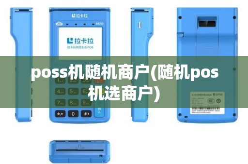 poss机随机商户(随机pos机选商户)