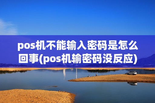 pos机不能输入密码是怎么回事(pos机输密码没反应)