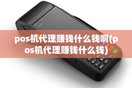 pos机代理赚钱什么钱啊(pos机代理赚钱什么钱)