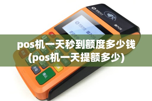 pos机一天秒到额度多少钱(pos机一天提额多少)