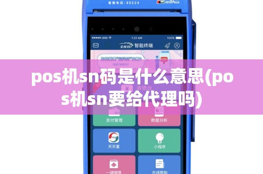 pos机sn码是什么意思(pos机sn要给代理吗)
