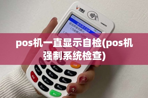 pos机一直显示自检(pos机强制系统检查)