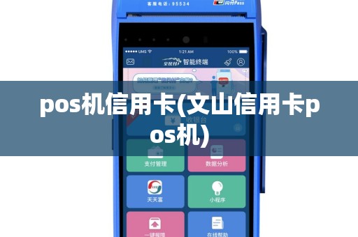 pos机信用卡(文山信用卡pos机)